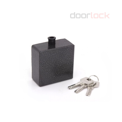 Навесной замок  PALLADIUM 605S